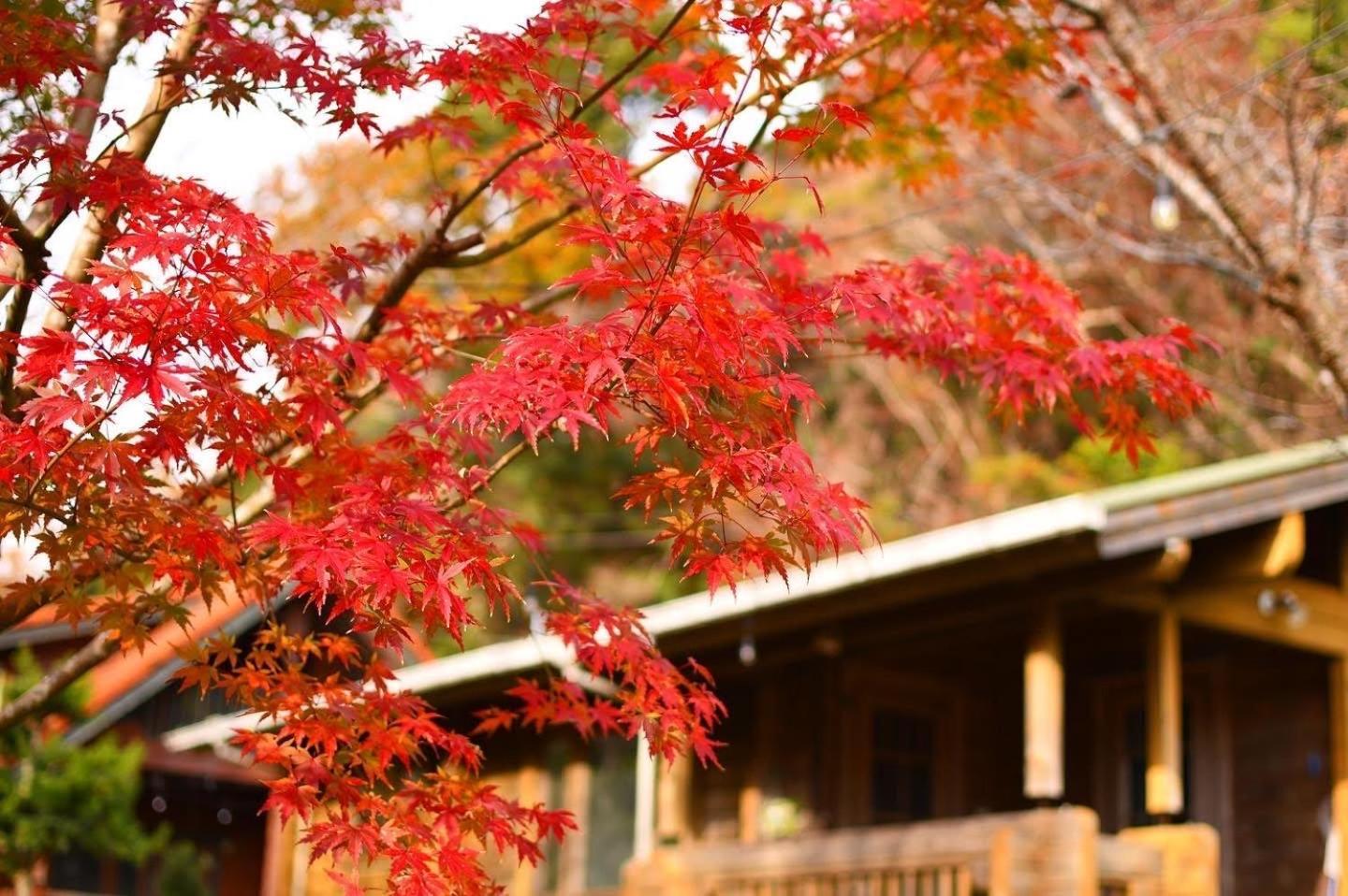 Sunny Side Cottage Shimoda  Exterior foto